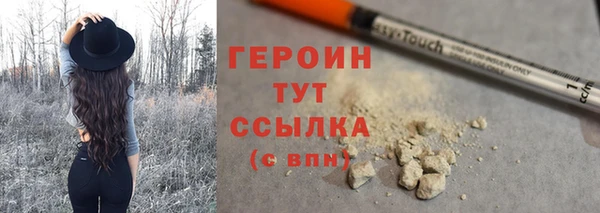 мдпв Гусев