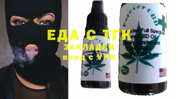 мдпв Гусев