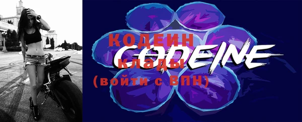 мдпв Гусев