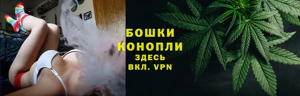мдпв Гусев