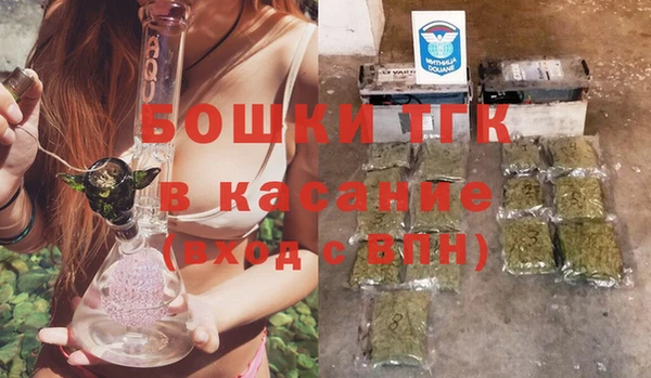 мдпв Гусев
