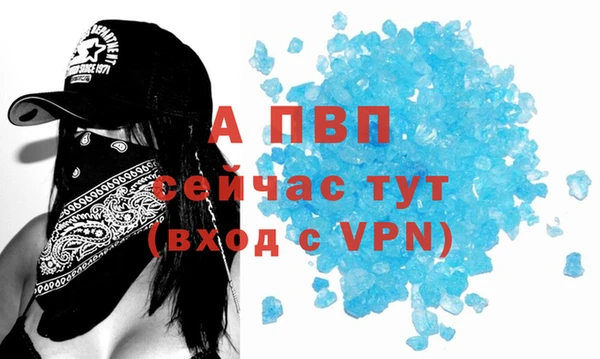 мдпв Гусев