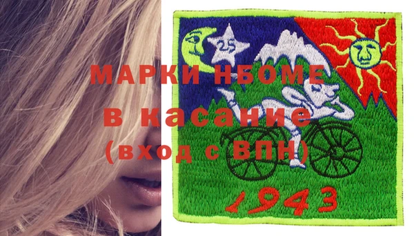 мдпв Гусев